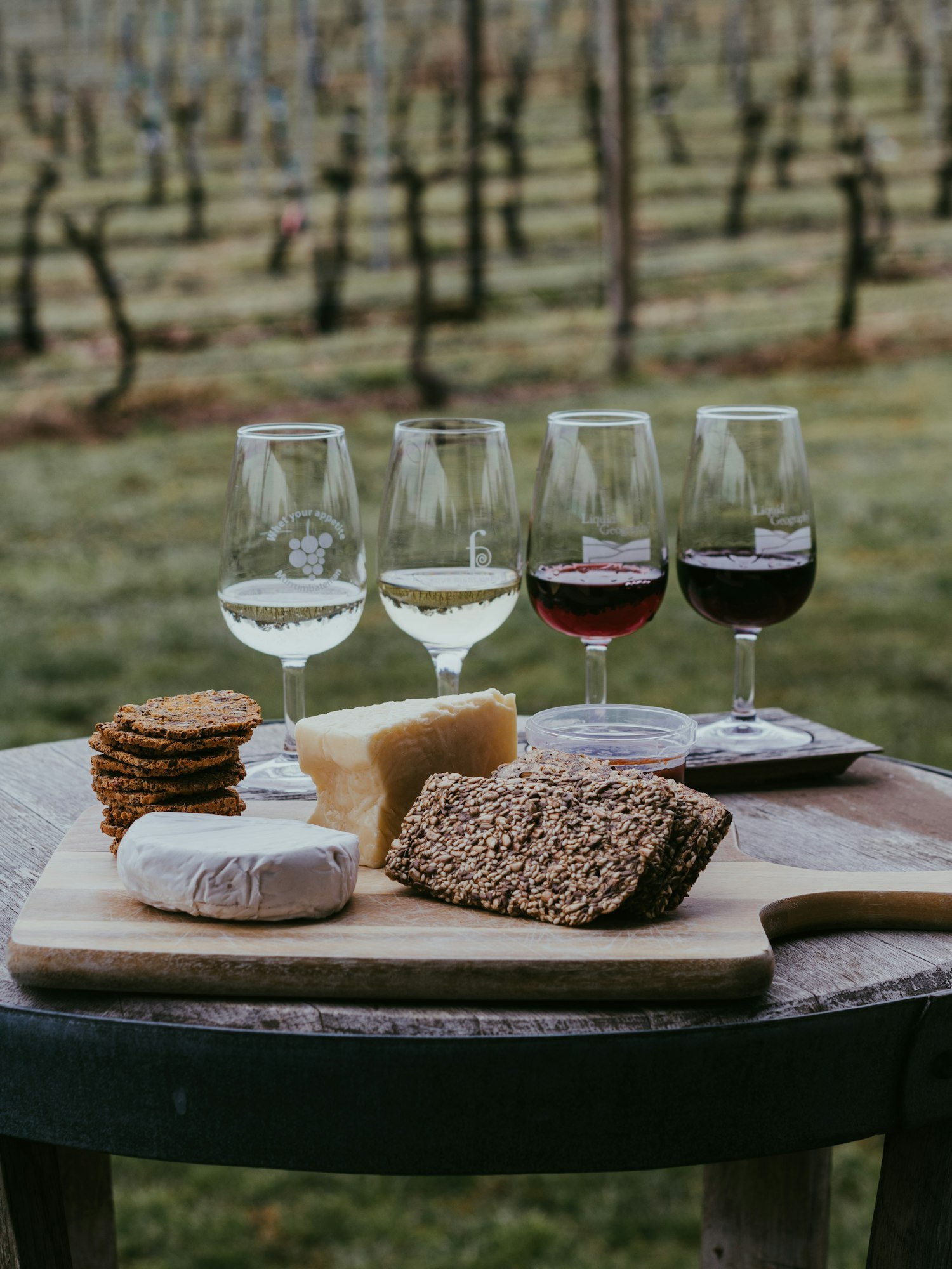 Dégustation de quatre vins et de fromages affinés