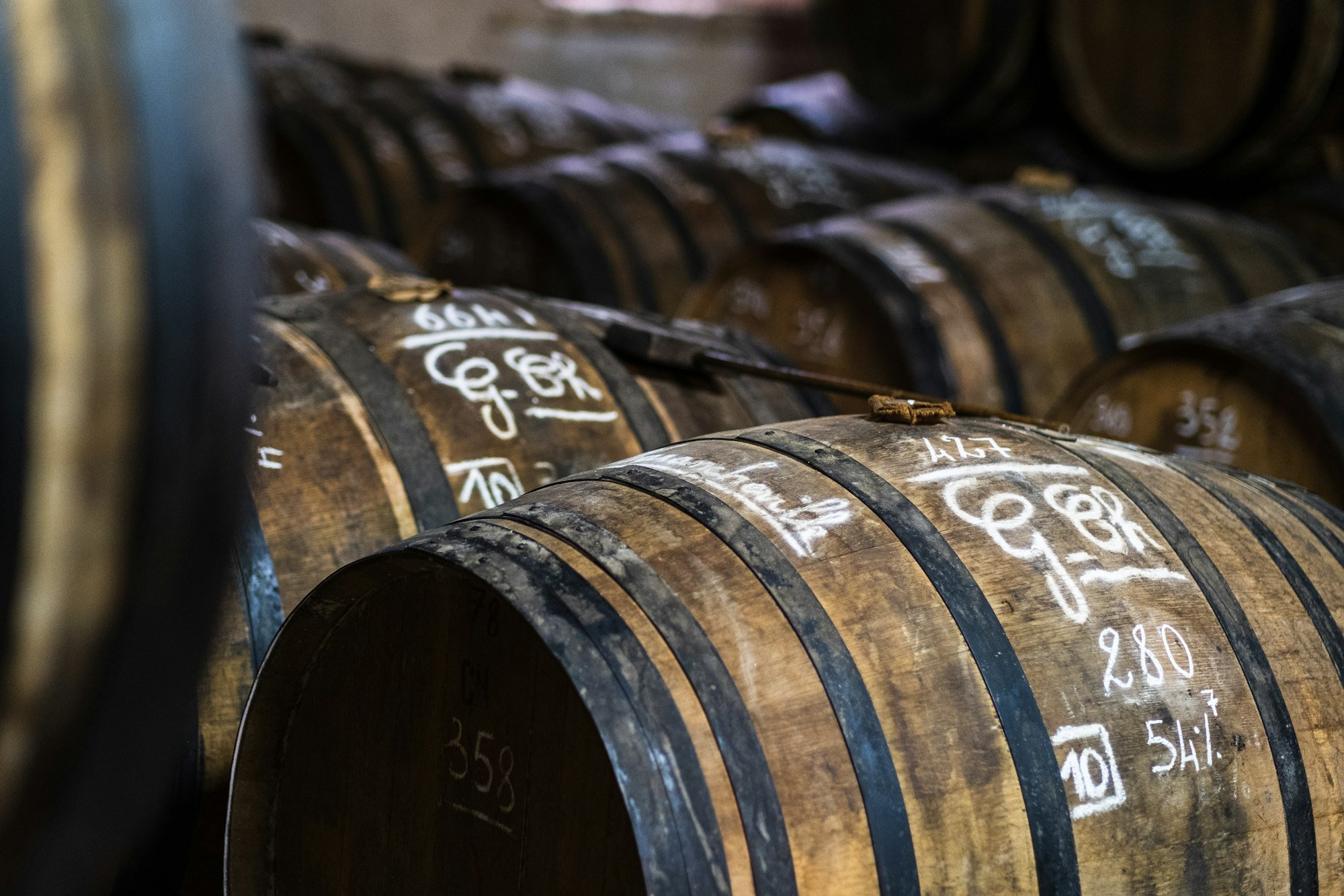 Barriques de vin dans un chai bordelais